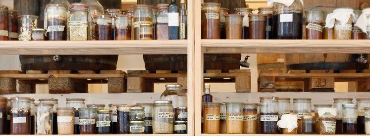 Various glass jars containing fermented ingredients, sauces, and liquids are neatly arranged on wooden shelves. The jars are labeled by hand; large wooden barrels are visible in the background.