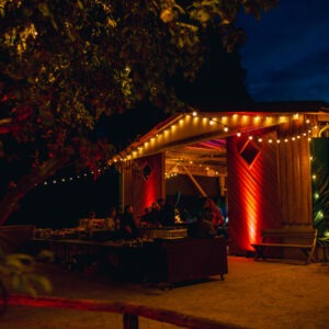 Gut Mood Festival