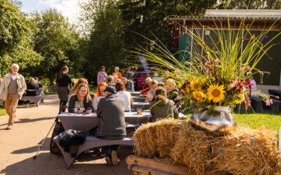 GUT.MOOD: Where music, nature and enjoyment come together